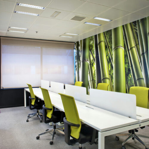Una sala de conferencias moderna con un vibrante mural de bambú en una pared, equipada con elegantes escritorios blancos dispuestos colaborativamente y sillas ergonómicas verdes brillantes. La luz natural entra a raudales a través de grandes ventanas, creando una atmósfera acogedora.