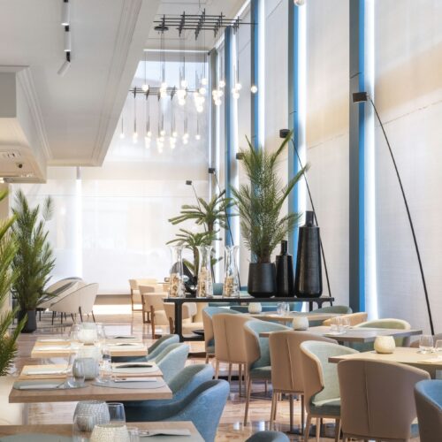 Comedor contemporáneo con plantas y luz natural.