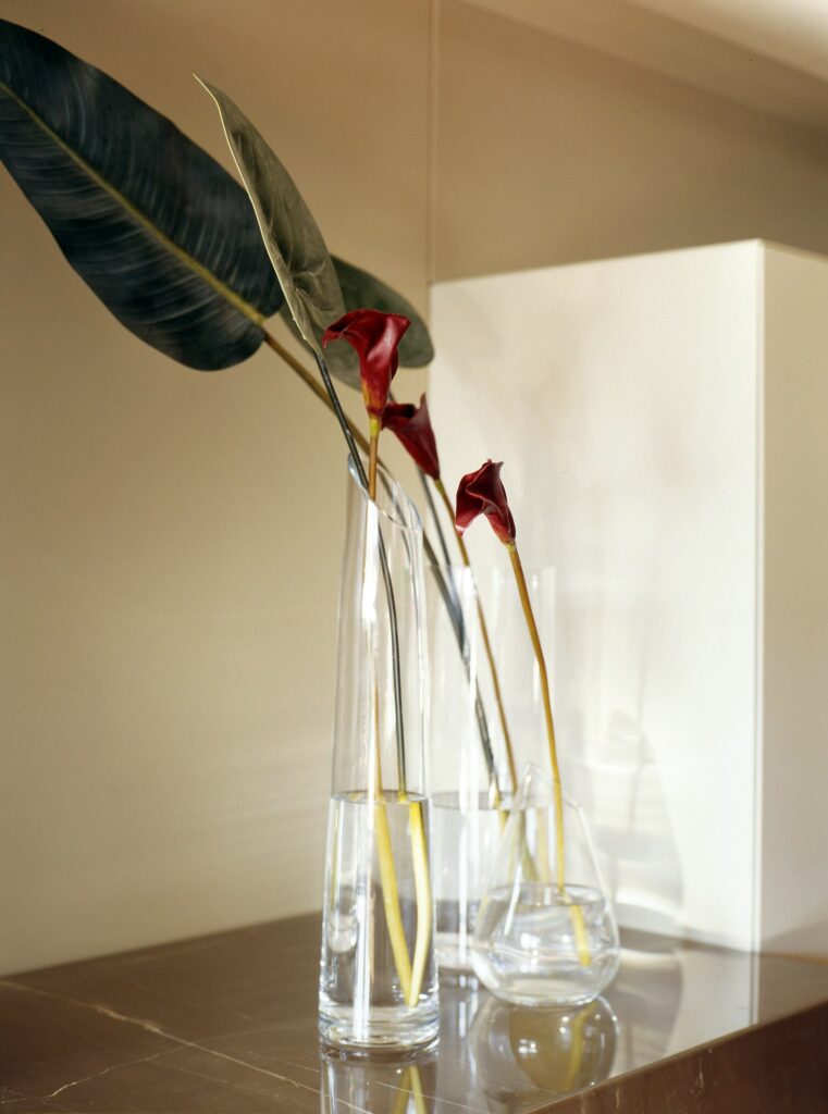 Elegantes Jarrones de Cristal Minimalistas con Flores Rojas sobre Superficie de Mármol Dos jarrones de cristal claros llenos de flores rojas de tallo largo y una hoja verde, dispuestos sobre una superficie de mármol elegante contra un fondo cálido y neutro.
